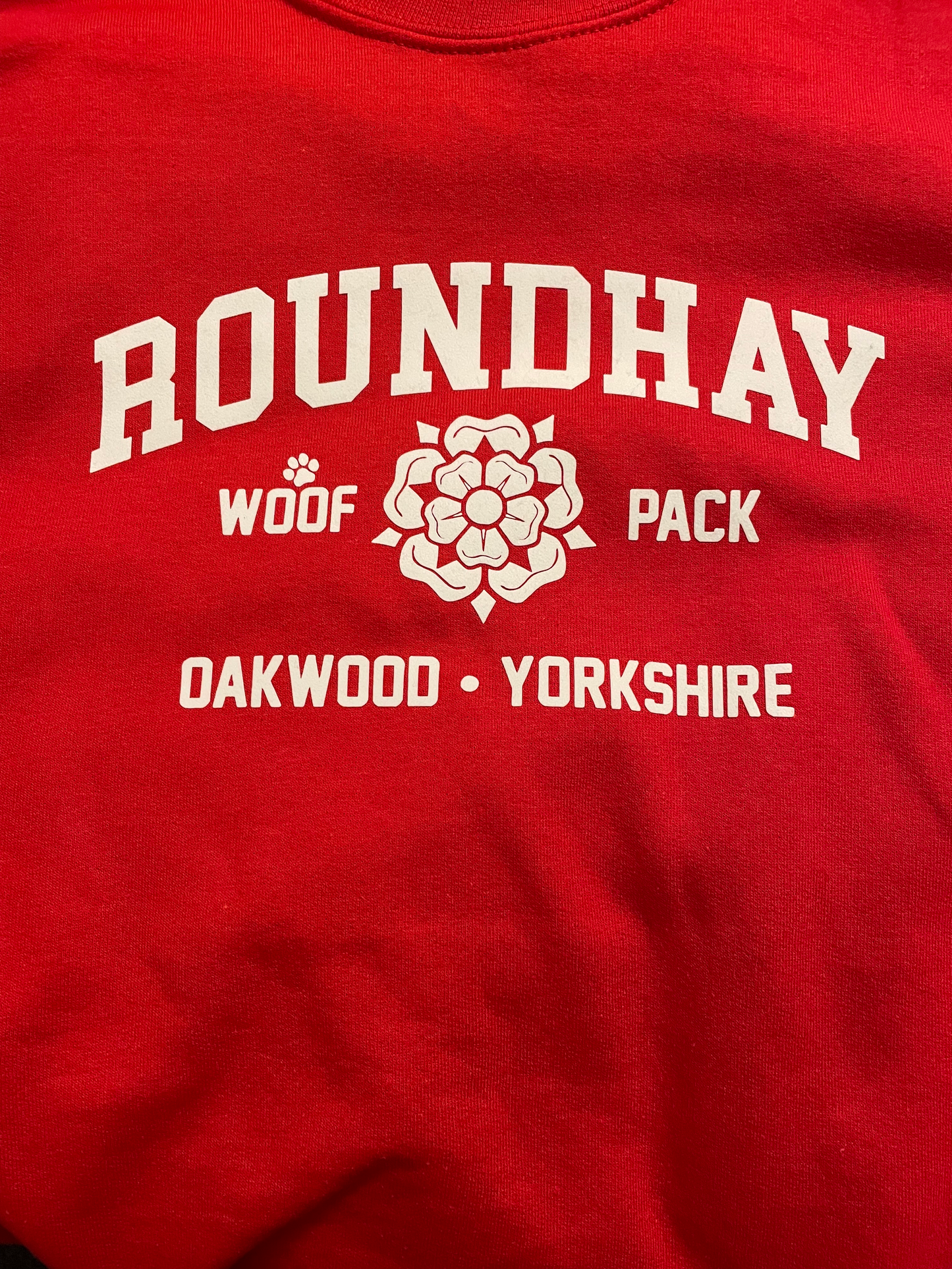 Roundhay Sweatshirts - Red