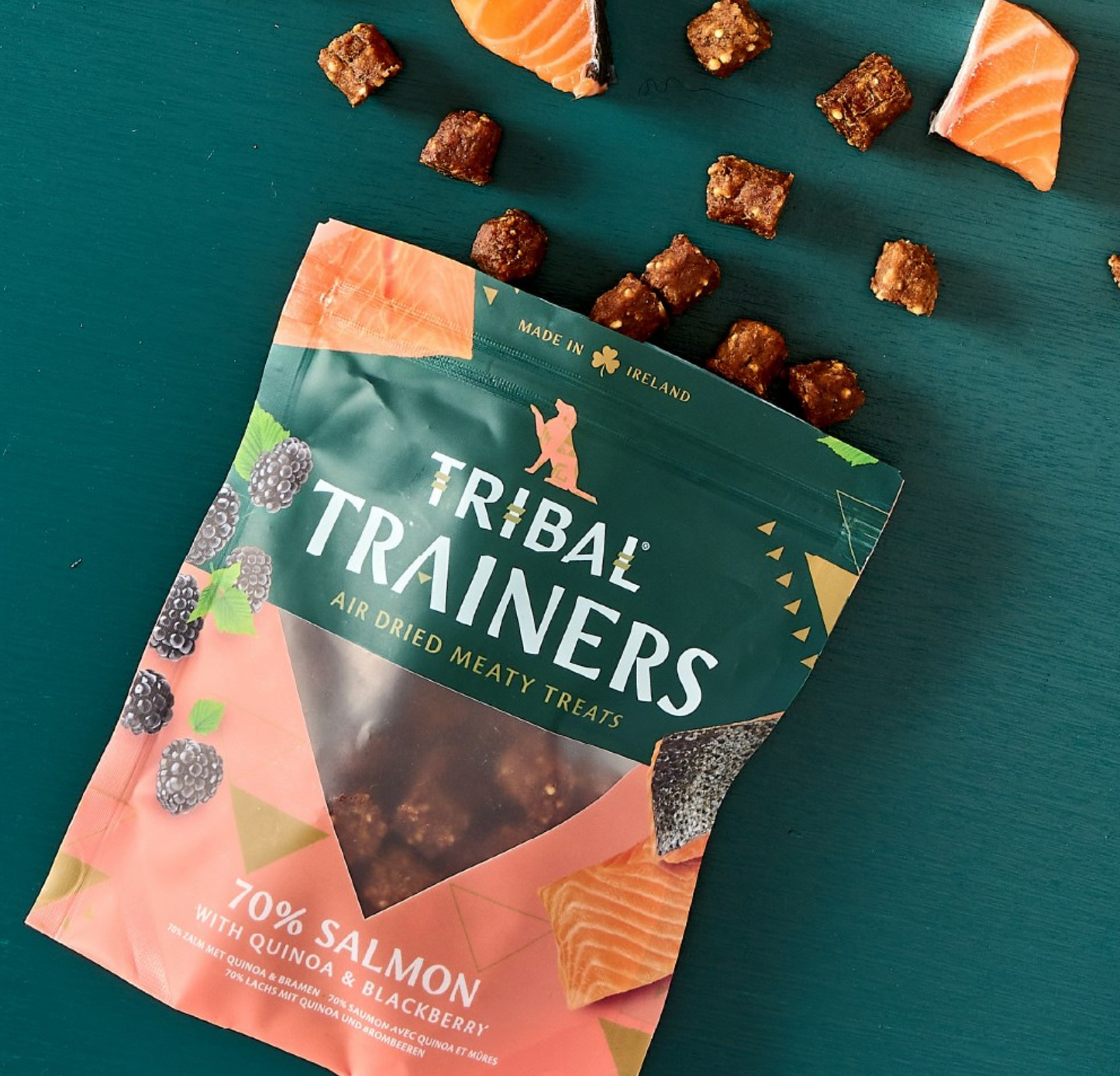 Tribal Training Treats - Salmon