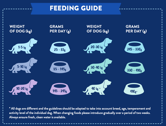 WOOF Superfood Complete Dry Food for Adult Dogs - Italian Buffalo