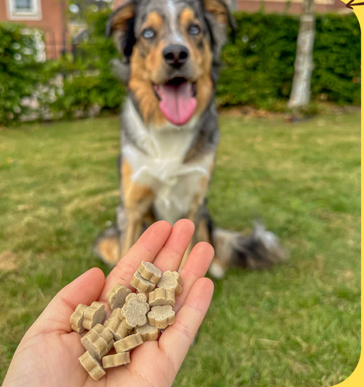 Soopa Healthy Bites