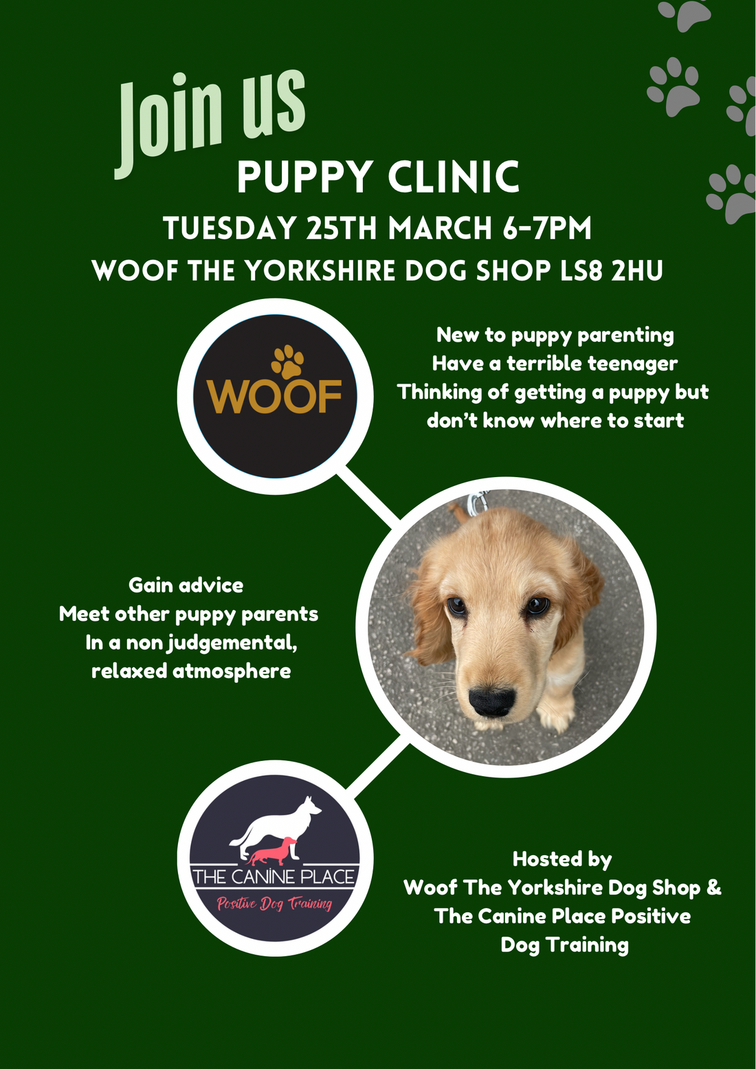 Puppy clinic 25th March 2025