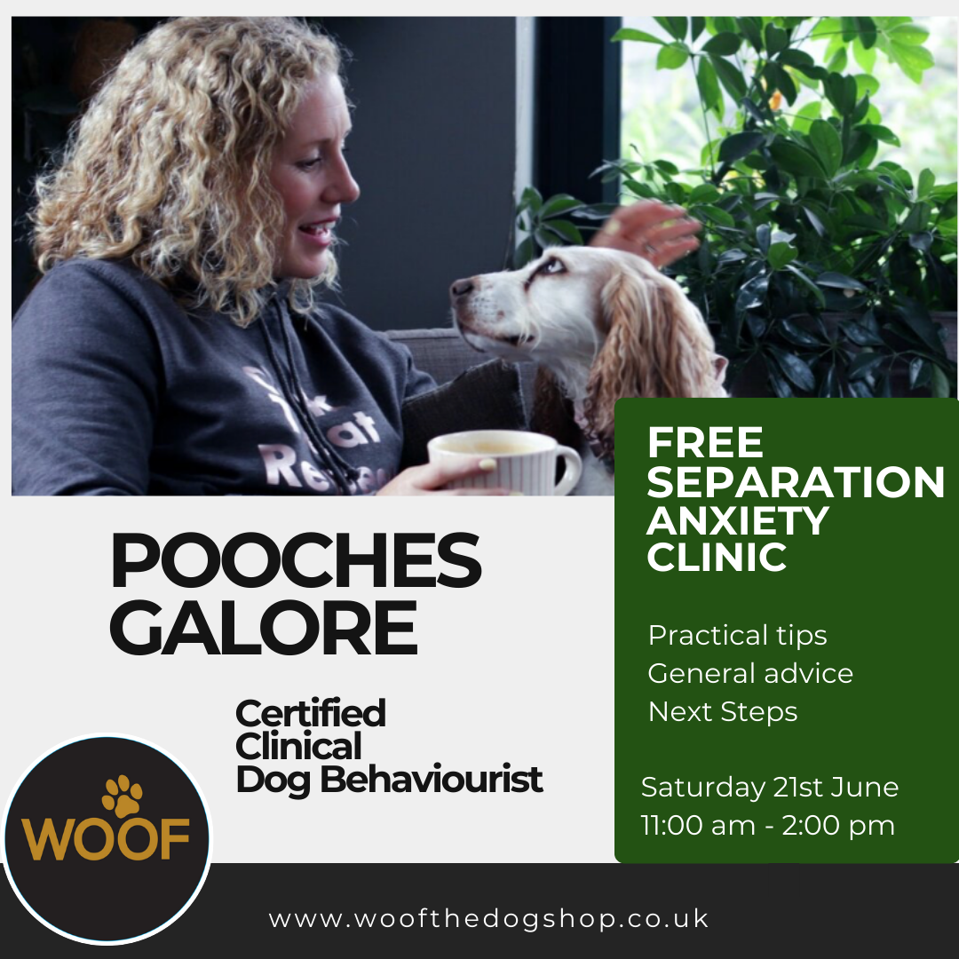 Free Separation Anxiety Session with Clinical Behaviourist Pooches Galore
