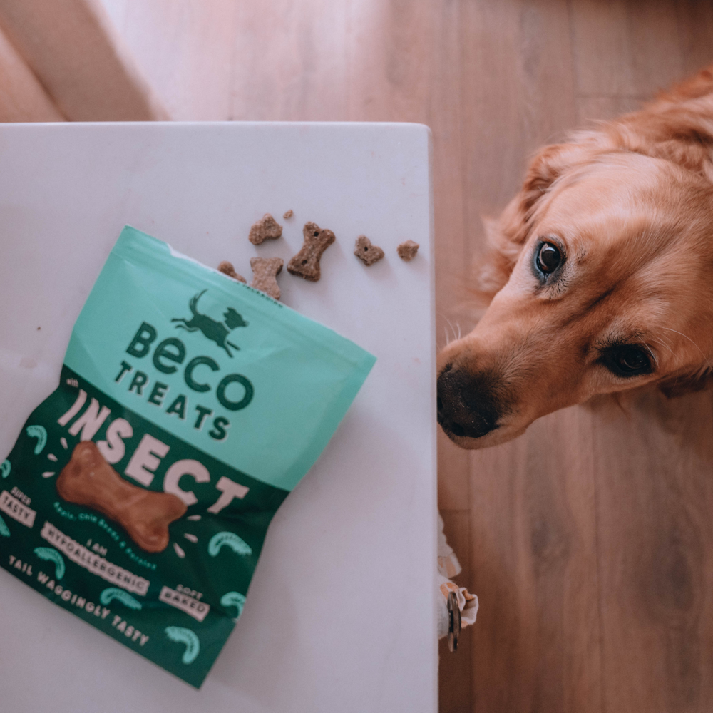 Beco Dog Treats Insect with Apple, Chia Seeds & Parsley