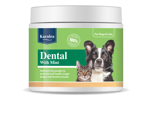 Karnlea Dental with Mint