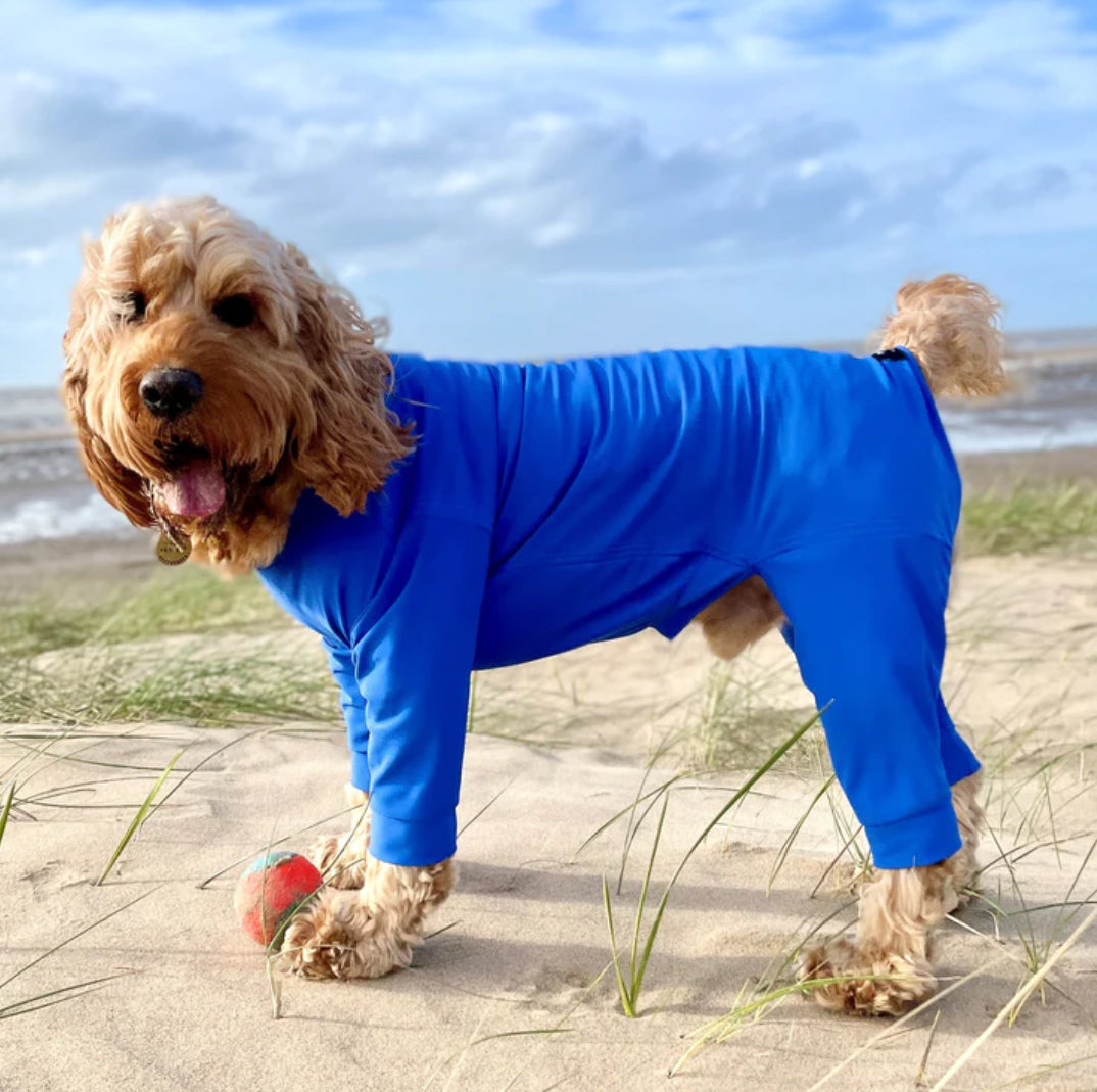 Pawsome Suits Lightweight 4 leg stretch suit