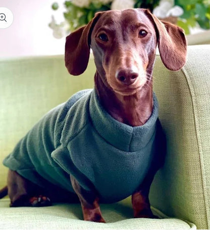 Pawsome Suits Fleece Tankie