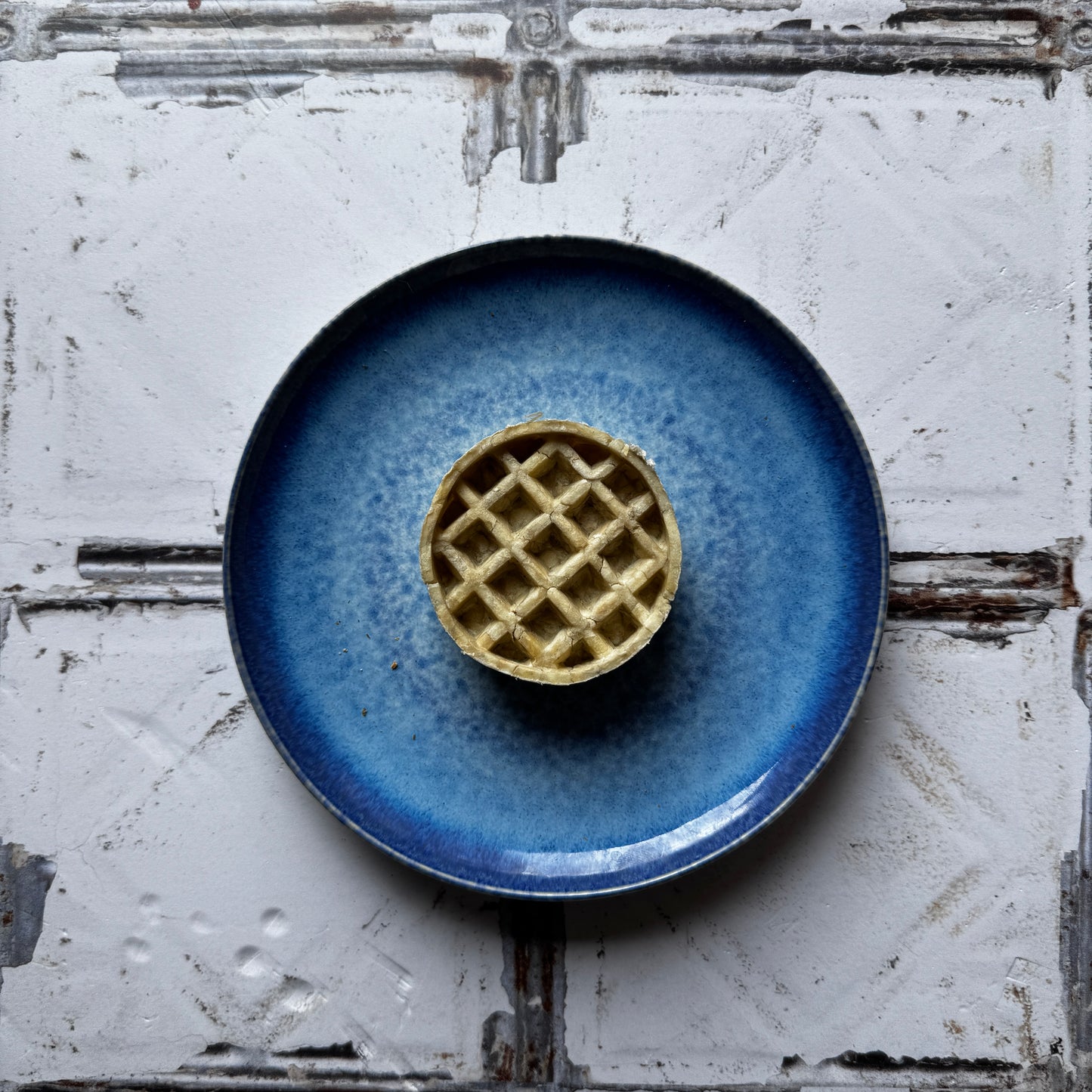 Collagen Waffle