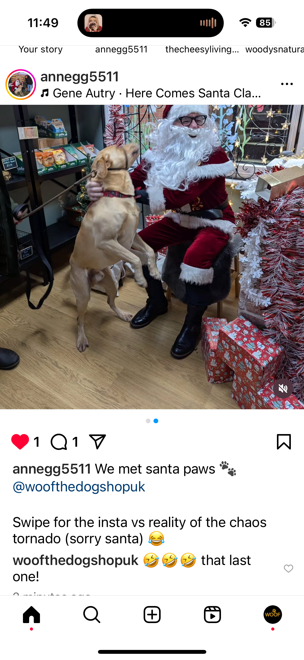 Meet Santa Paws in his Grotto Saturday 6th December at Woof The Dog Shop