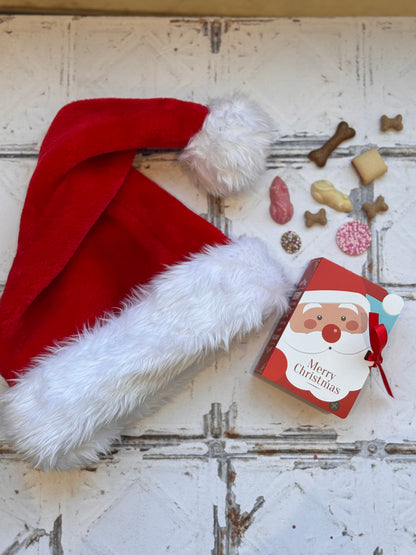 Xmas Santa Book