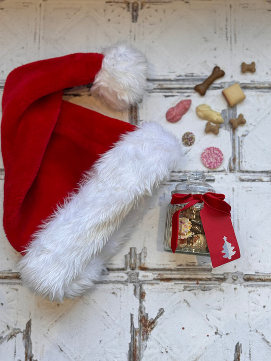 Xmas Small Treat Jar with ribbon