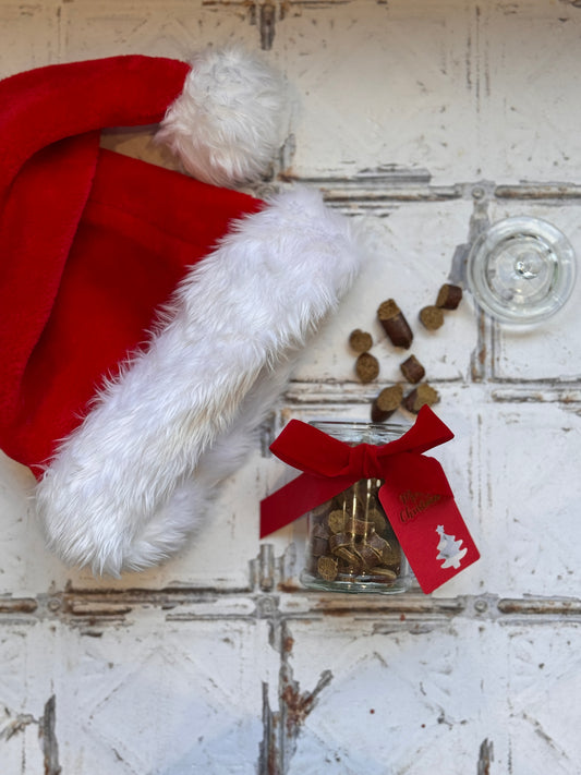 Xmas Medium Treat Jar with ribbon