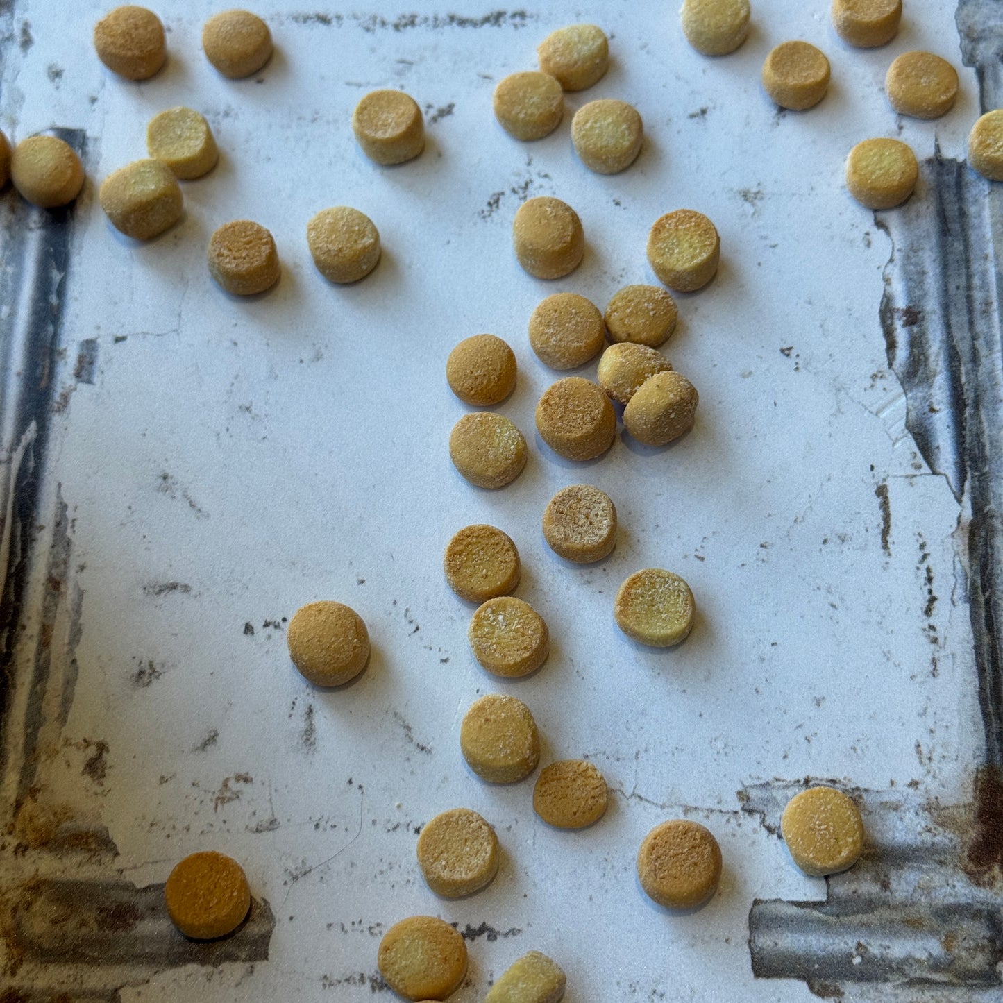 The Canine Canteen - Biscuit Jar