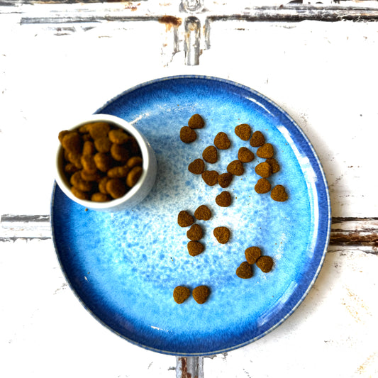 Dry Cat Food - Gastrointestinal Digestive Care