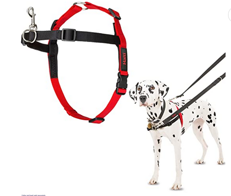 Halti Front Control Harness