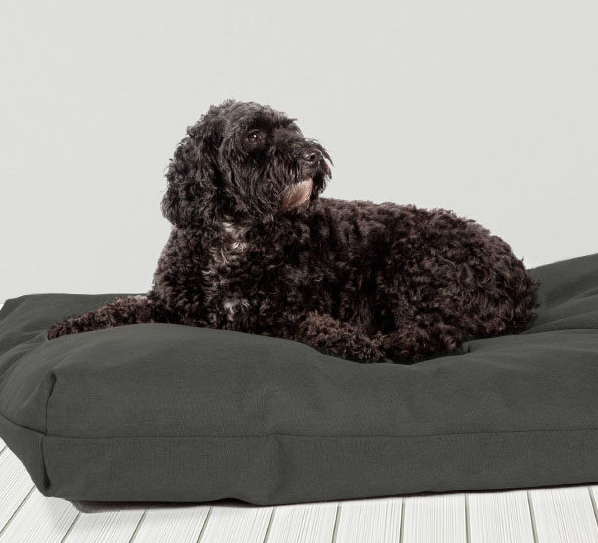 Antibacterial sales dog beds