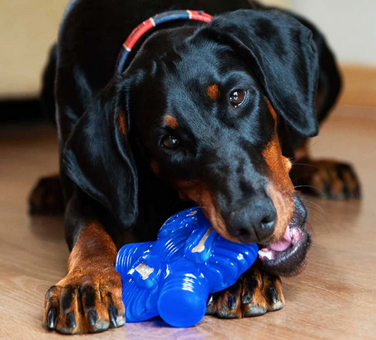 K9 Connectables - Brain Teaser