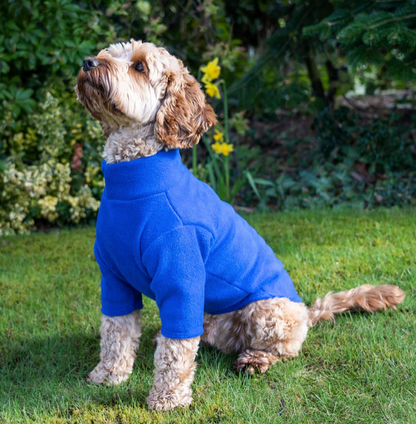 Pawsome Suits 2 Leg Fleece Dog Suith