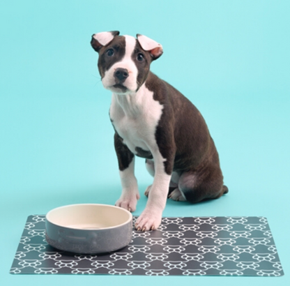 Feeding Bowl with bone embossing