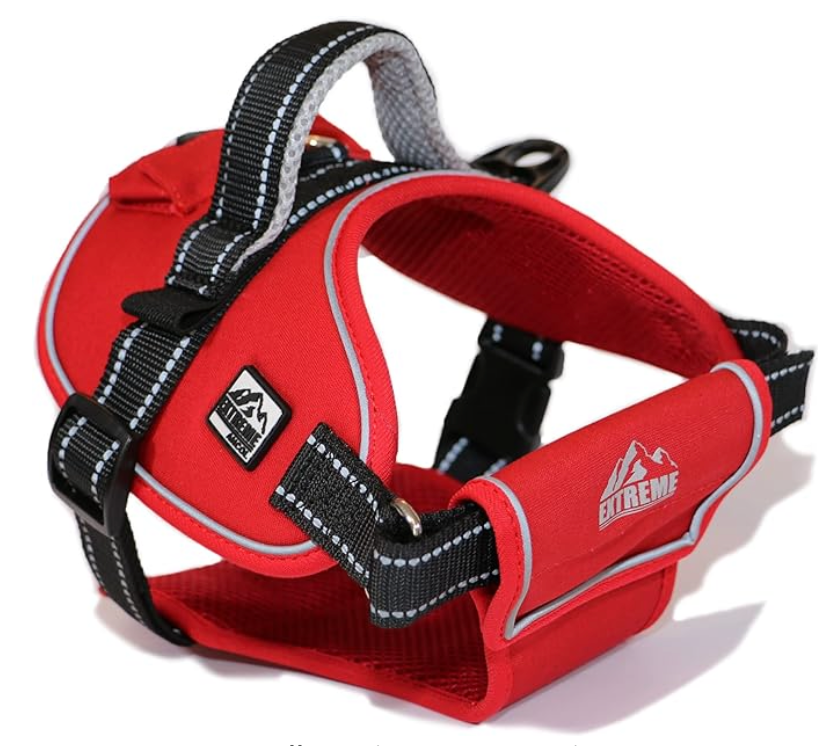 Extreme Harness - Red Medium 68-86cm