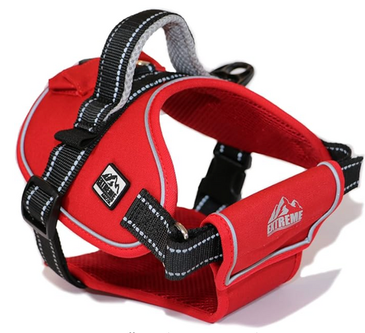 Extreme Harness - Red