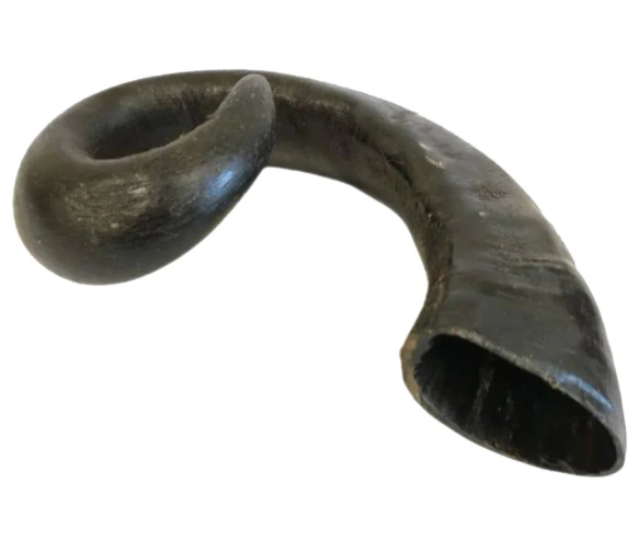 Buffalo Horn