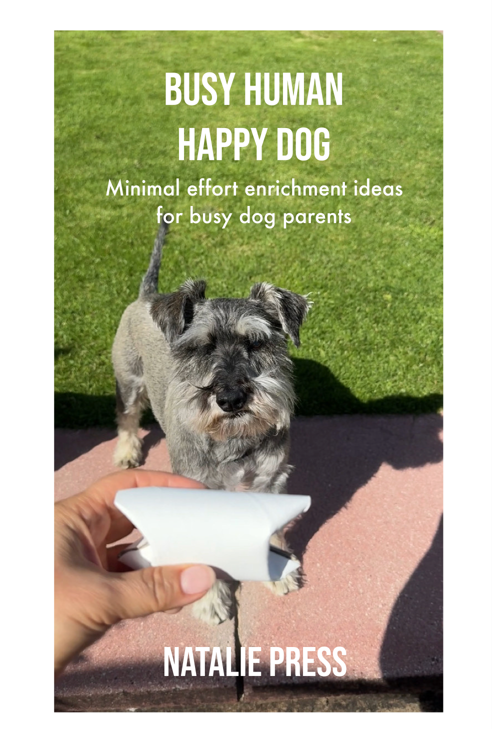 Ebook Busy Human, Happy Dog  - Minimal effort, high impact enrichment activities for busy dog parents