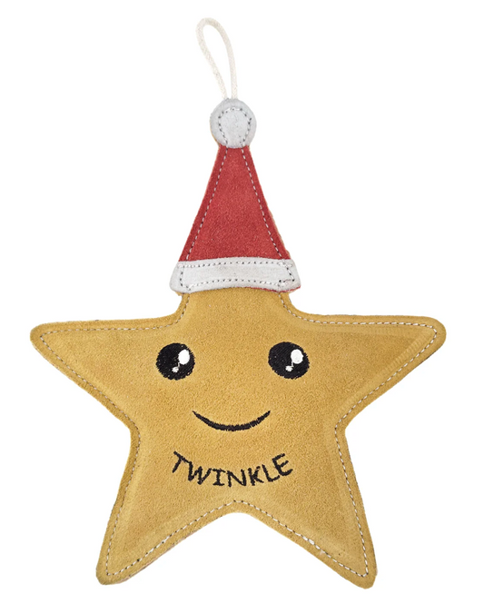 Green & Wilds Twinkle the Star Eco Dog Toy