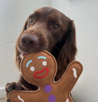 Green & Wilds Genie the Gingerbread Person