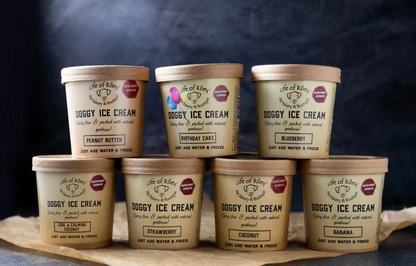 Life Of Riley Doggy Ice Cream Kit - Peanut Butter