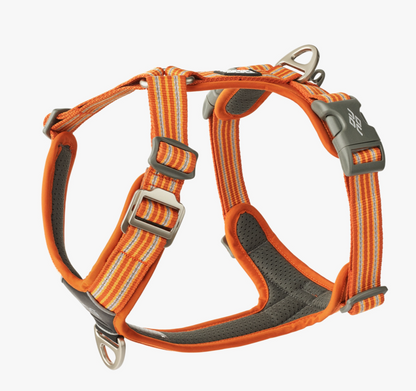 Dog Copenhagen Walk Air Harness