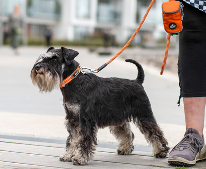 Dog Copenhagen Urban Rope Leash