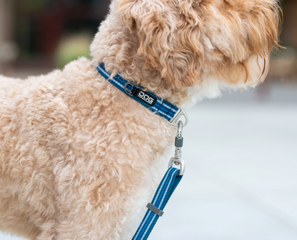 Dog Copenhagen Urban Style Collar