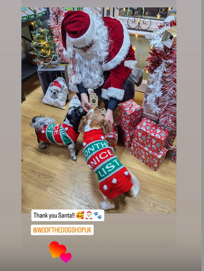 Meet Santa Paws in his Grotto Saturday 6th December at Woof The Dog Shop