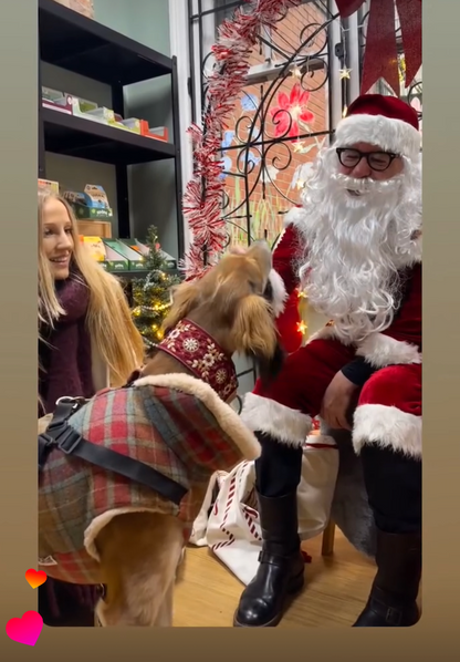 Meet Santa Paws in his Grotto Saturday 6th December at Woof The Dog Shop
