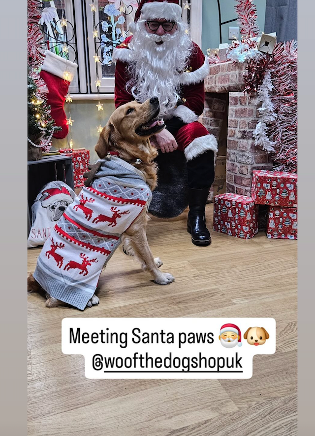 Meet Santa Paws in his Grotto Saturday 6th December at Woof The Dog Shop