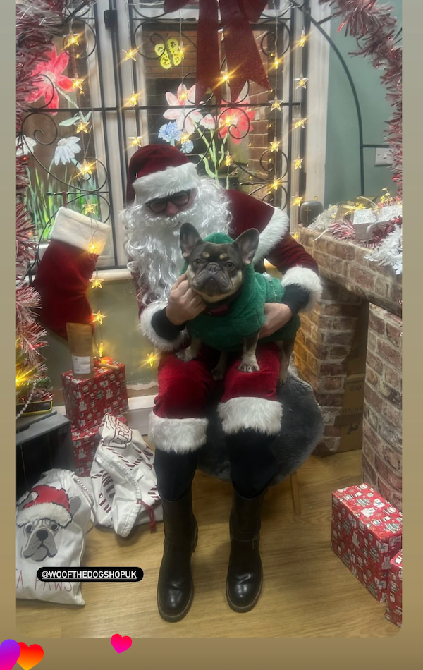 Meet Santa Paws in his Grotto Saturday 6th December at Woof The Dog Shop