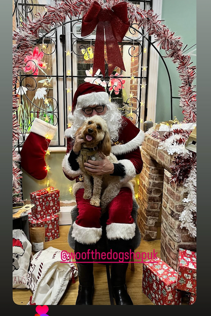 Meet Santa Paws in his Grotto Saturday 6th December at Woof The Dog Shop