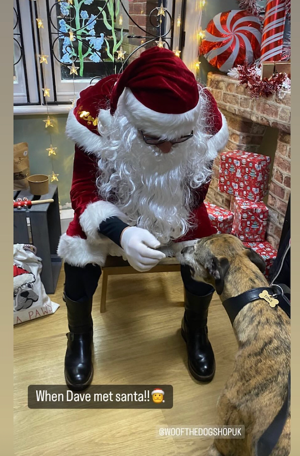 Meet Santa Paws in his Grotto Saturday 6th December at Woof The Dog Shop