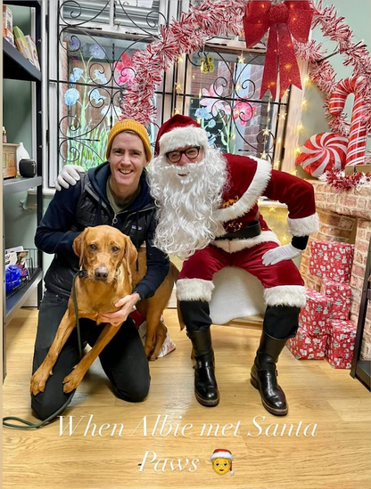 Meet Santa Paws in his Grotto Saturday 6th December at Woof The Dog Shop