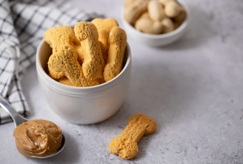 The Canine Canteen - Biscuit Jar