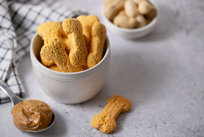 The Canine Canteen - Biscuit Jar