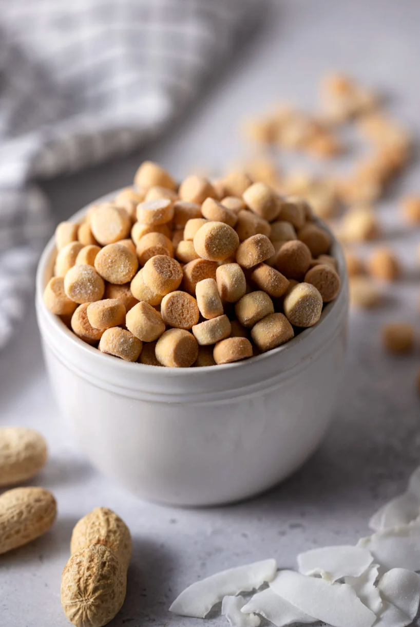 The Canine Canteen - Biscuit Jar