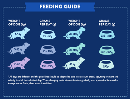 WOOF Dry Food for Adult Dogs - Scottish Salmon