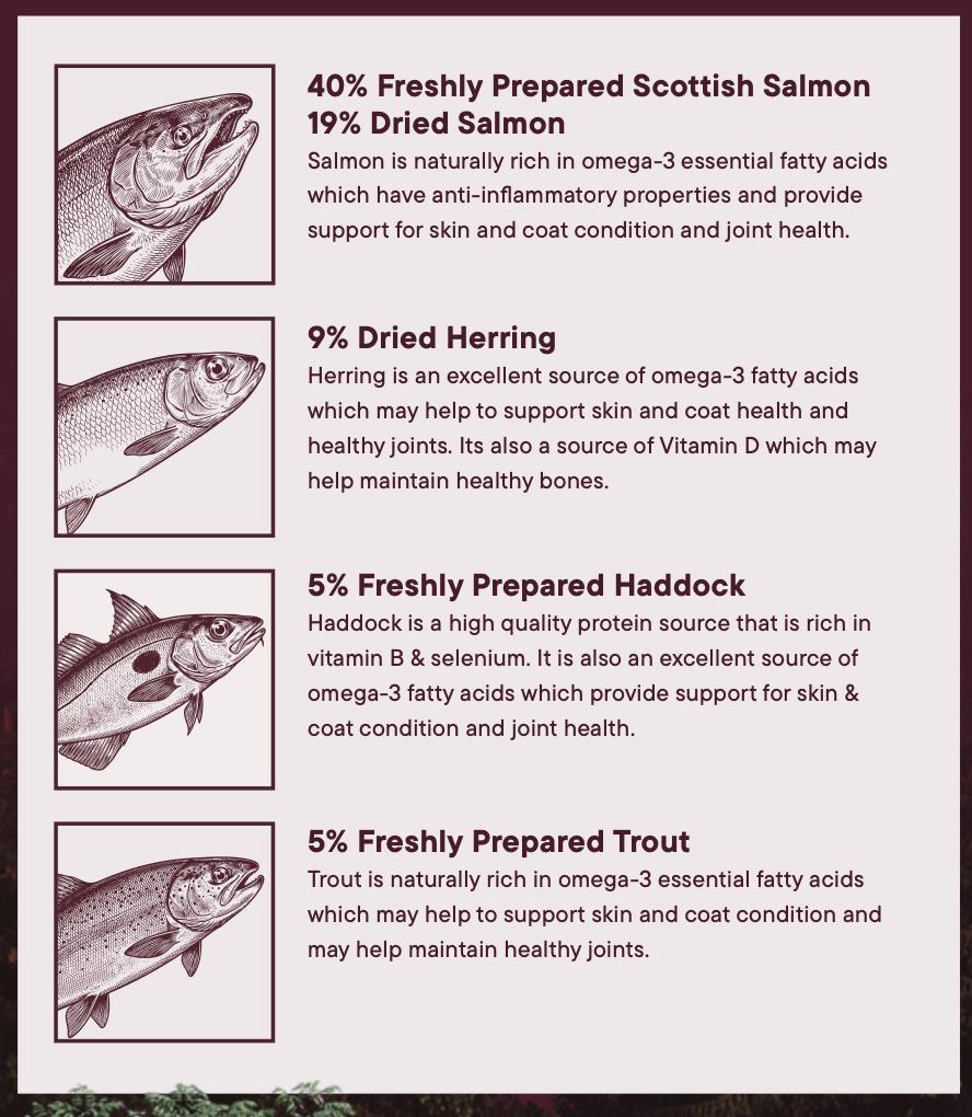 Woof Wilderness Dry Dog Food - 80% Salmon