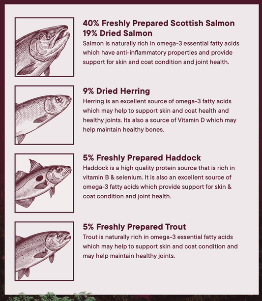 Woof Wilderness Dry Dog Food - 80% Salmon