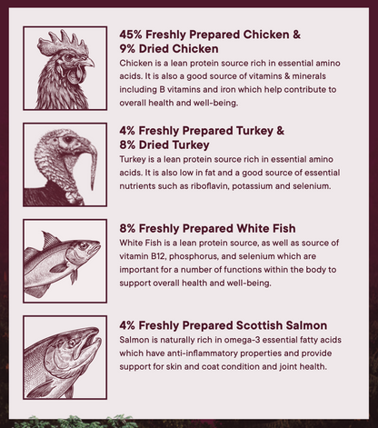 Woof Wilderness Dry Dog Food - 80% Chicken