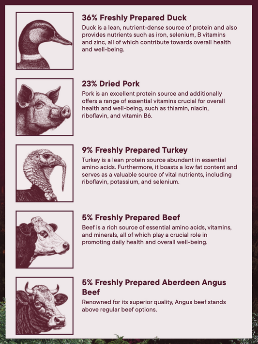 Woof Wilderness Dry Dog Food - 80% Duck