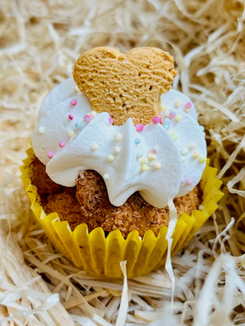 Life of Riley Pawty Pupcake - 65g