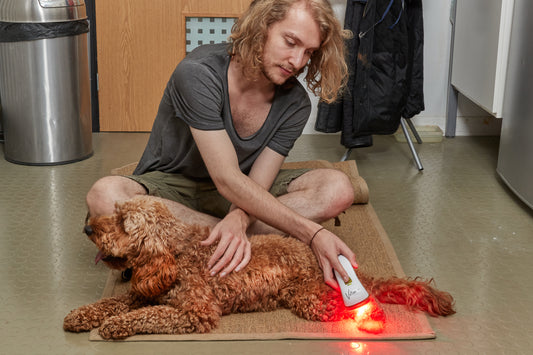 Photizo Vetcare - LED Light Therapy Device