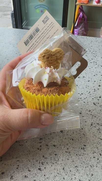 Life of Riley Pawty Pupcake